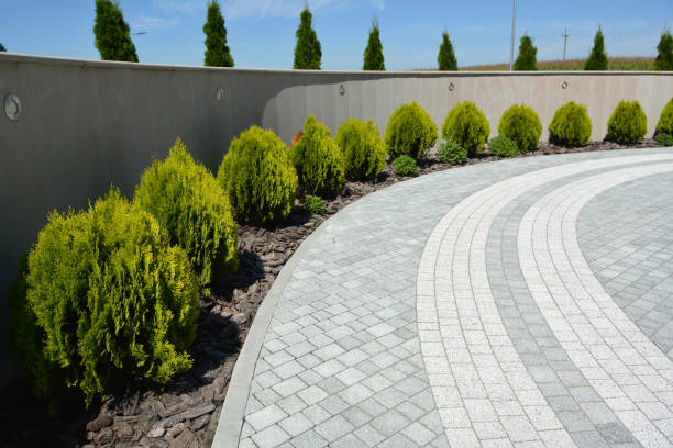 Professional Driveway Pavers in Salida Del Sol Estates, TX